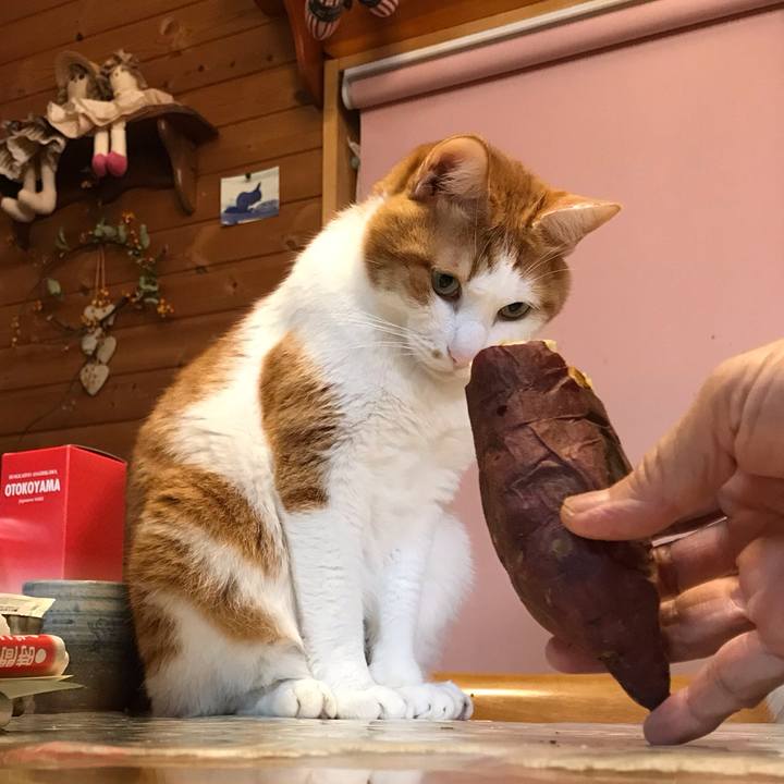 D4c629cd 6b7e 4040 aefd c2e4f4deb934 1570617944951