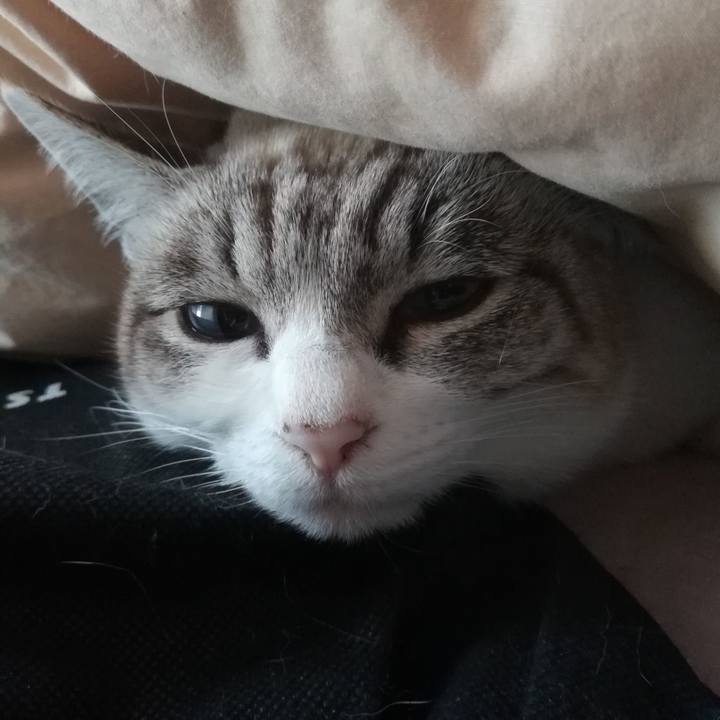 D4c62b82 a8f7 4f36 a293 ed975d9592f1 1546214387132