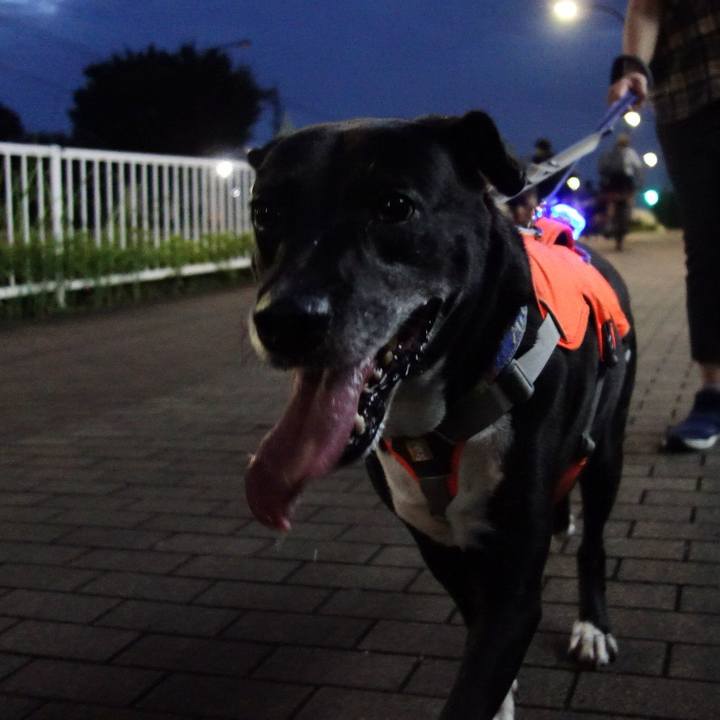 D4c6407f 7bd7 4fe1 ac7e b5389a20837b 1721214398501