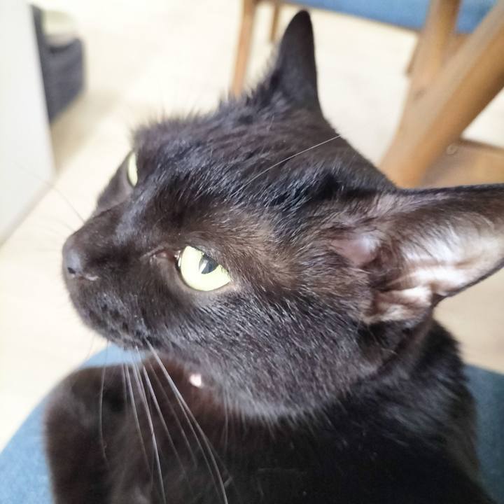 D4c66def dc1d 41c6 a3c1 a02c7efa7dd9 1685484822813