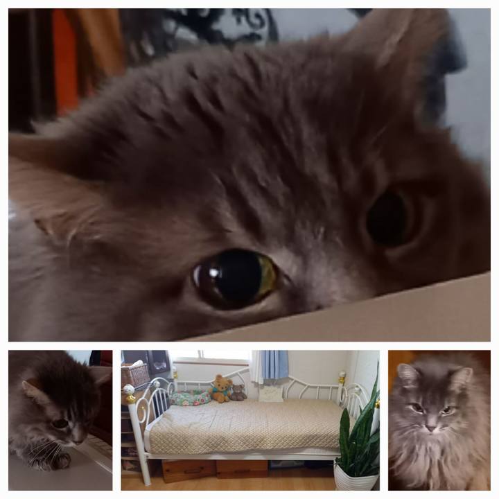 D4c6a846 61a7 4923 bc61 46bed839ffe0 1680084873956