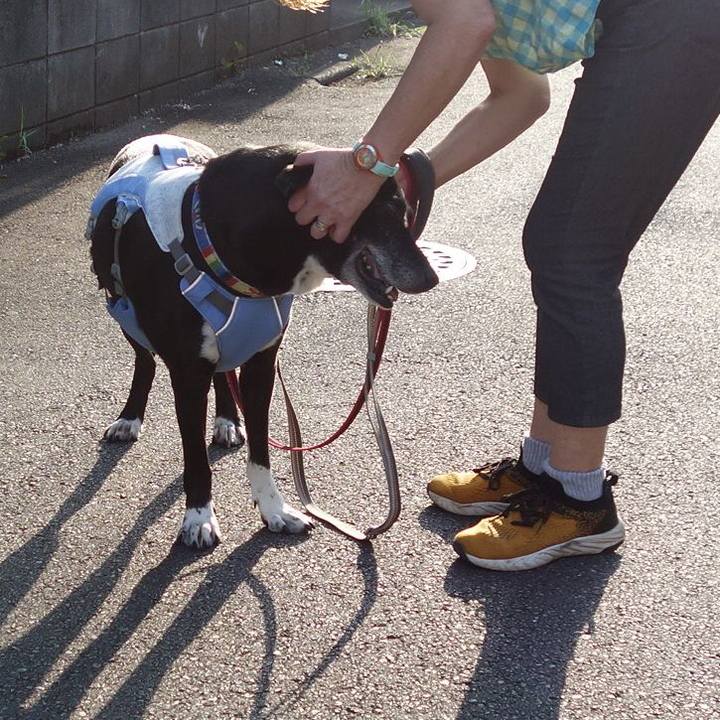 D4c6abe0 0aaf 414e aa8c 36c0c40be2c2 1723504761738