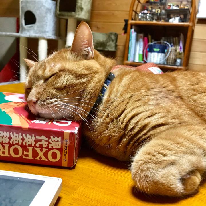 D4c6b8c1 3f7e 4ff8 8a0f fee702a2cb76 1532439849654