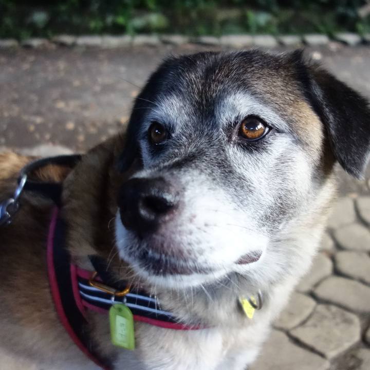 D4c6cbf6 6a3e 4a22 8743 70729da77adf 1568767864694