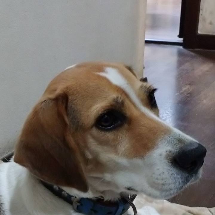 D4c71999 27af 4253 8a33 c62822b76db1 1603881294500