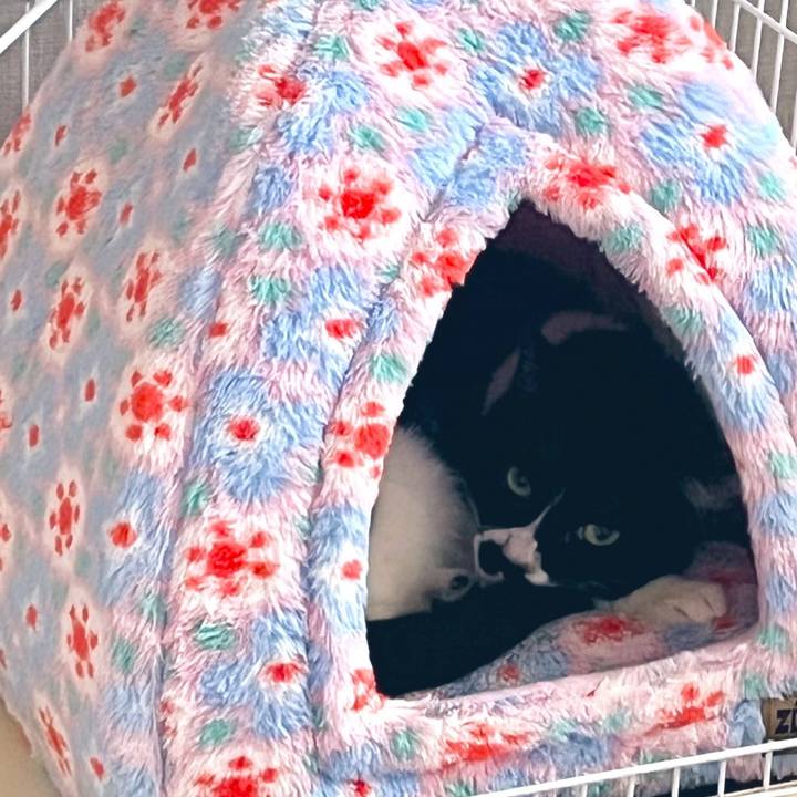 D4c71c5d 2af5 448a ab40 6e8eb43f6e13 1653567980614