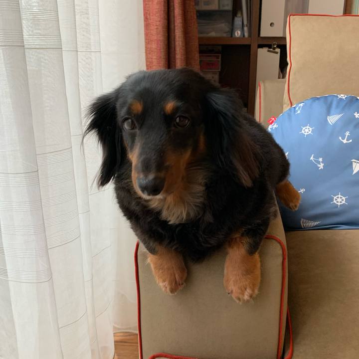 D4c74376 47cb 4f53 9303 4abcb9dd073e 1719750103231