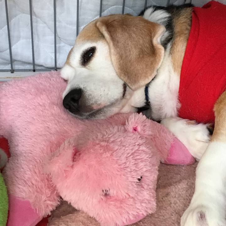 D4c74d04 9669 419f 9991 66b23f243f40 1555223167978