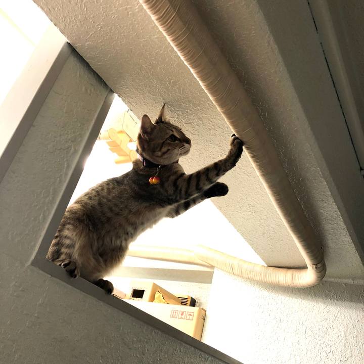 D4c771c4 d536 42e6 b362 7876821fa6ed 1605666124629