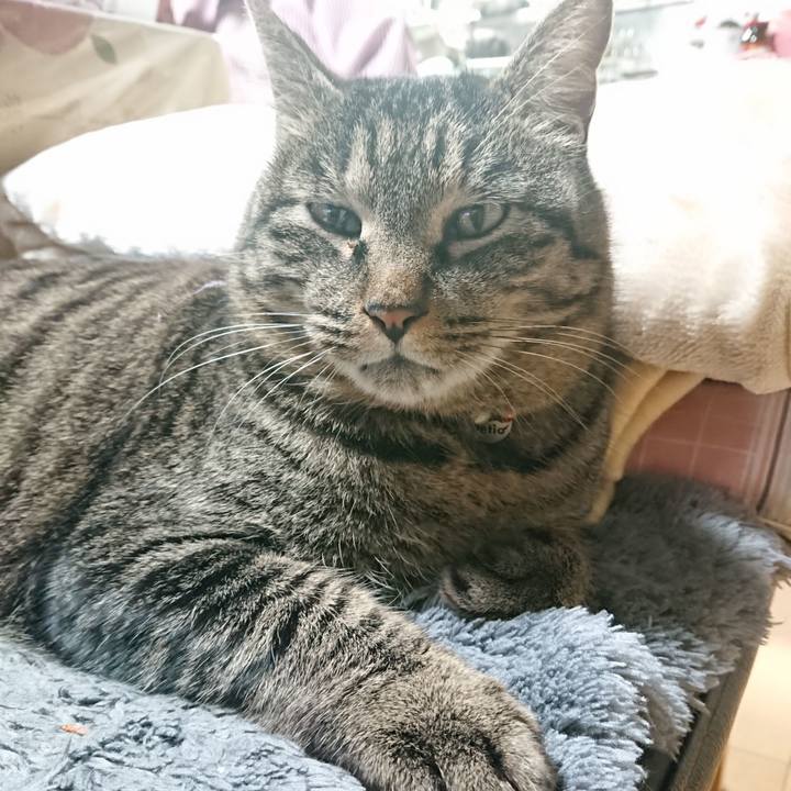 D4c7772b 3e3e 4fcb a139 3b8afef1cd9a 1644063410337