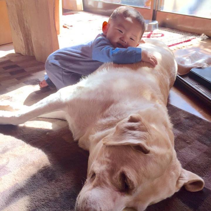 D4c792af 7a71 4178 bb19 fbb6a0568428 1514946181732