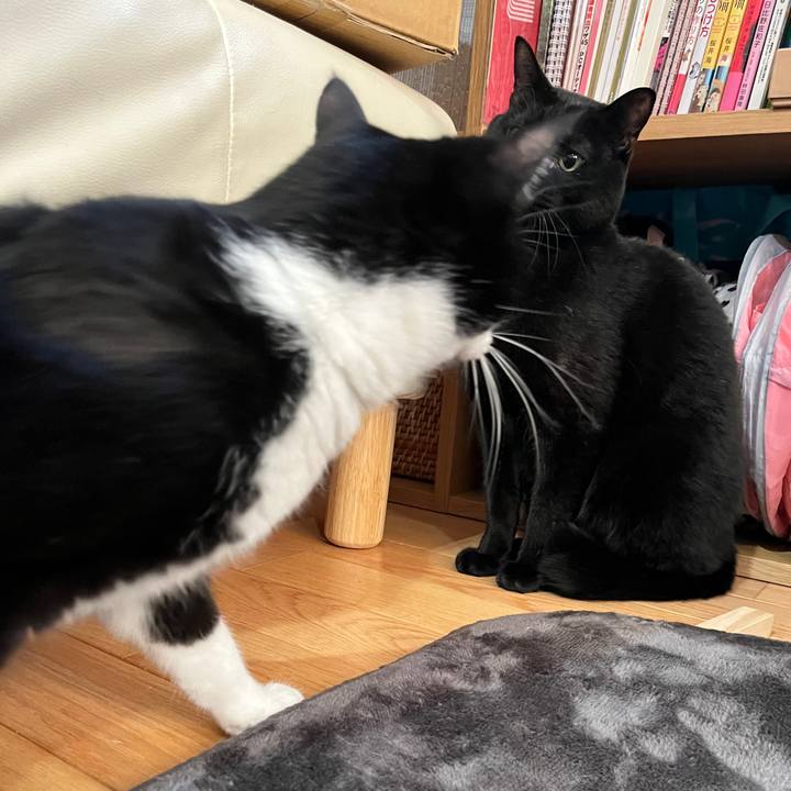 D4c7b0aa 5bd6 4465 8d0c 6073bb7053fd 1645451854353