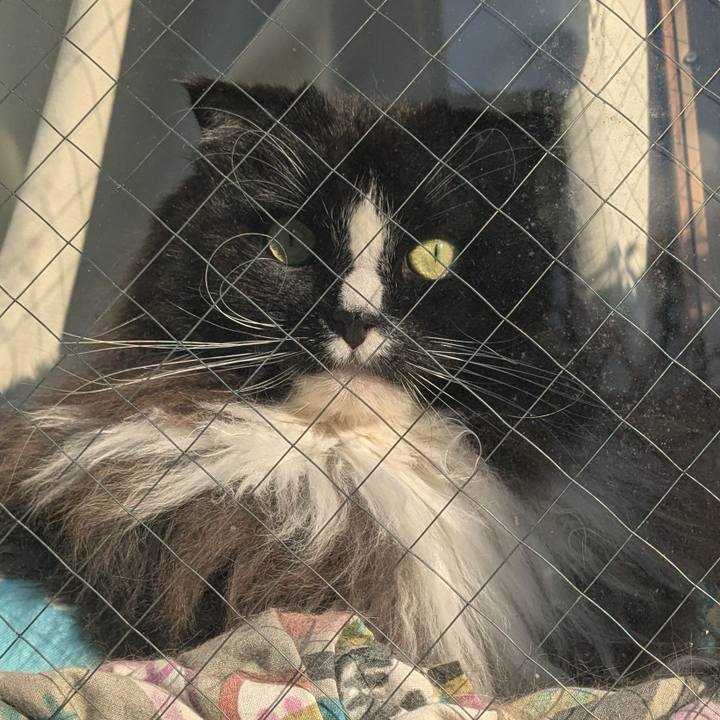 D4c7dbb7 efa2 429e a139 df337916ee2d 1733551197997