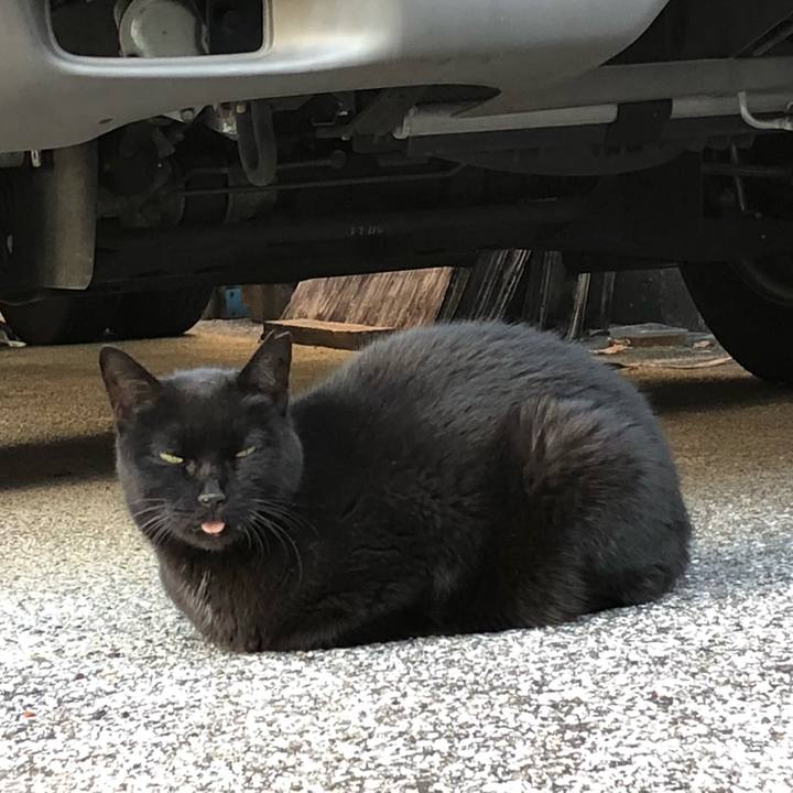 D4c7e723 94c2 4412 b50d d62c4cabfd0d 1540171061094