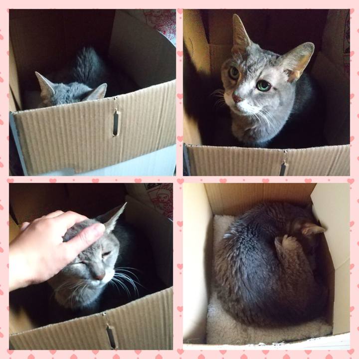 D4c7e891 550f 4da9 85f4 7a6b02ce5290 1699397401025