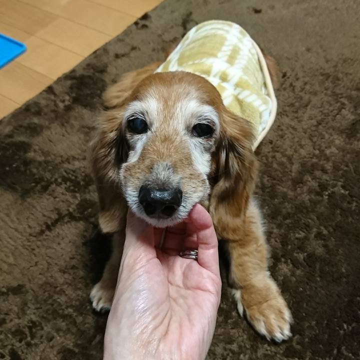 D4c7fdda 169d 4d21 ba3f da090d91541f 1517017225758