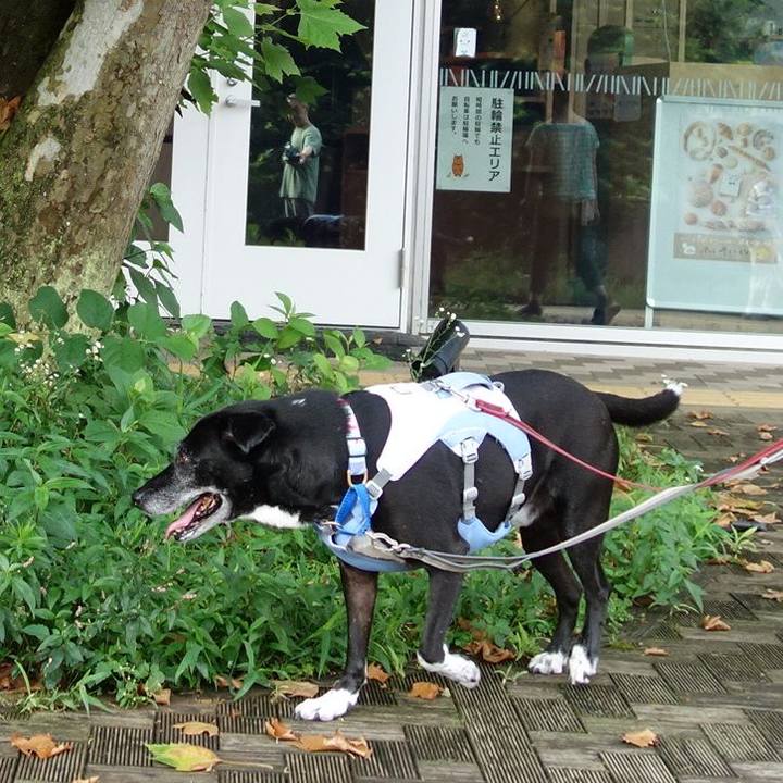 D4c8028b 4ff7 4d52 907b 0e7654af2e85 1751674752029