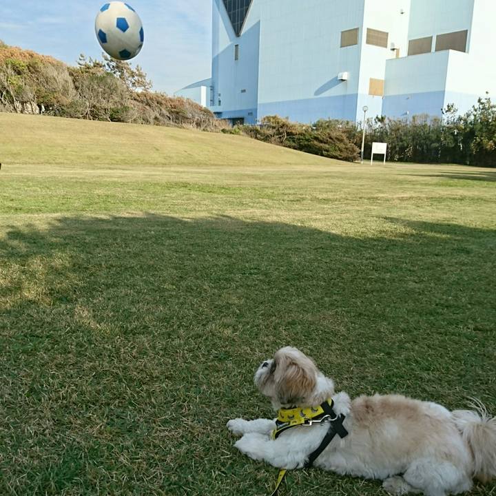 D4c835e2 84a2 437e 8284 64a4a5dfb07b 1543649219938