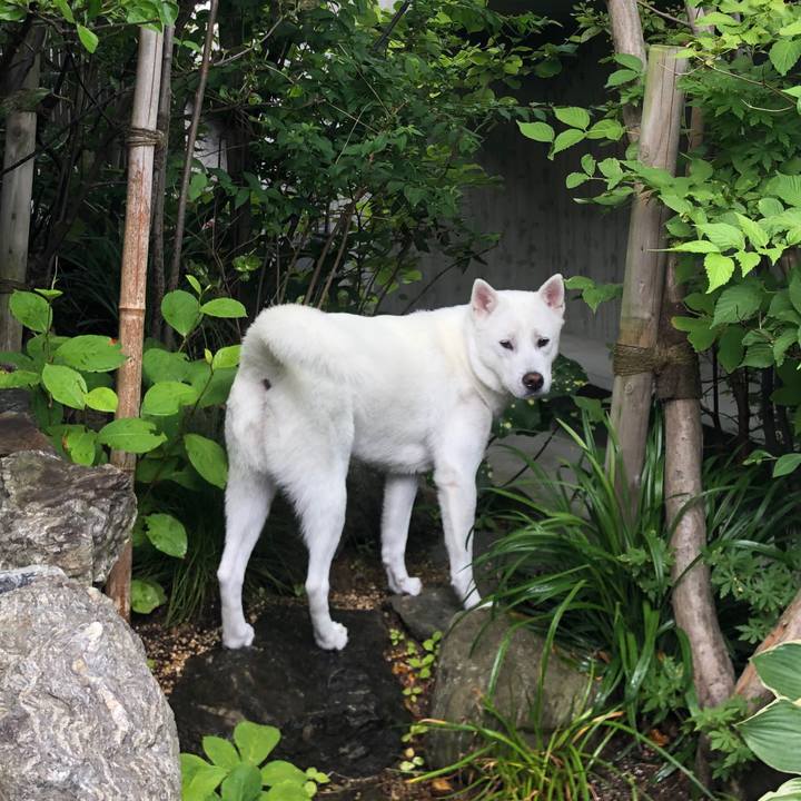 D4c8435b fd33 4c12 86d2 93de84c7177d 1591970328923