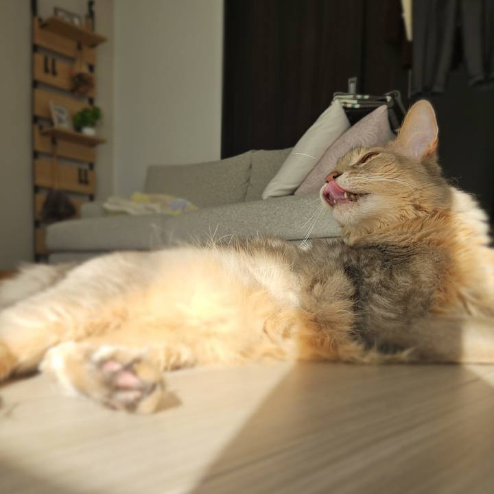 D4c8a86e c86e 4a79 8359 e097e0886de6 1772845928463