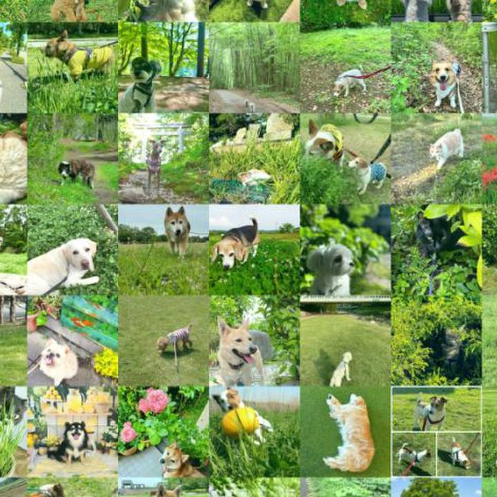 D4c8be02 71f6 4b62 8f14 fc8d11bb3336 1779930710038