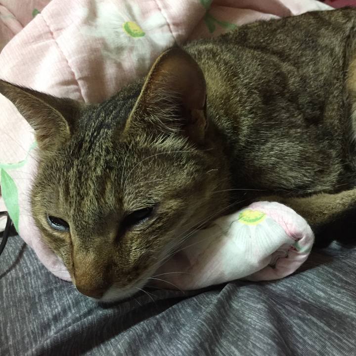 D4c8ca60 5e08 4ae6 8845 bd3f56217514 1568717326443