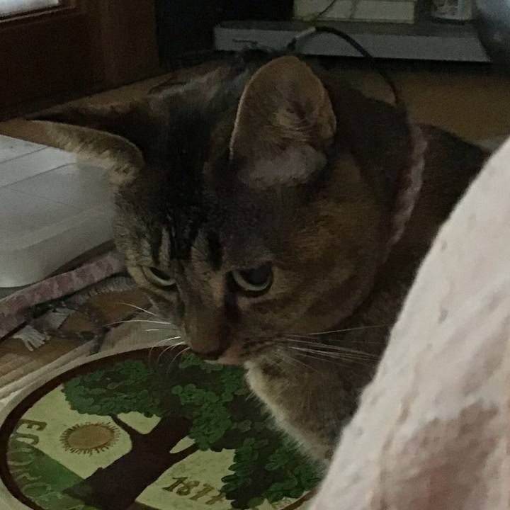 D4c8d342 3ac2 46c9 a99e 04e6d5e6c511 1669167117319