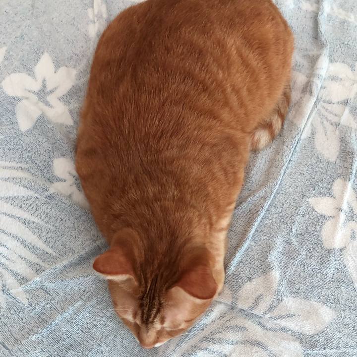 D4c8e4c6 9367 448f 8c42 b8f424e20080 1567206407004