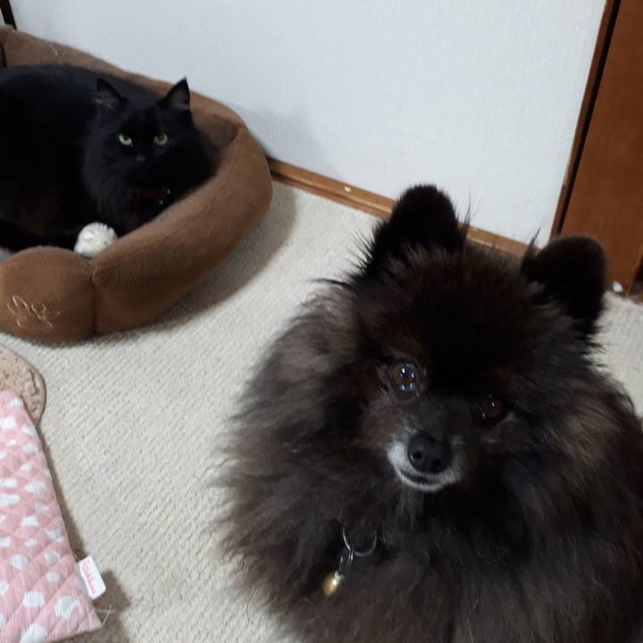 D4c8e4ec 1443 4ddf 861e de7fc48d8498 1521577715239