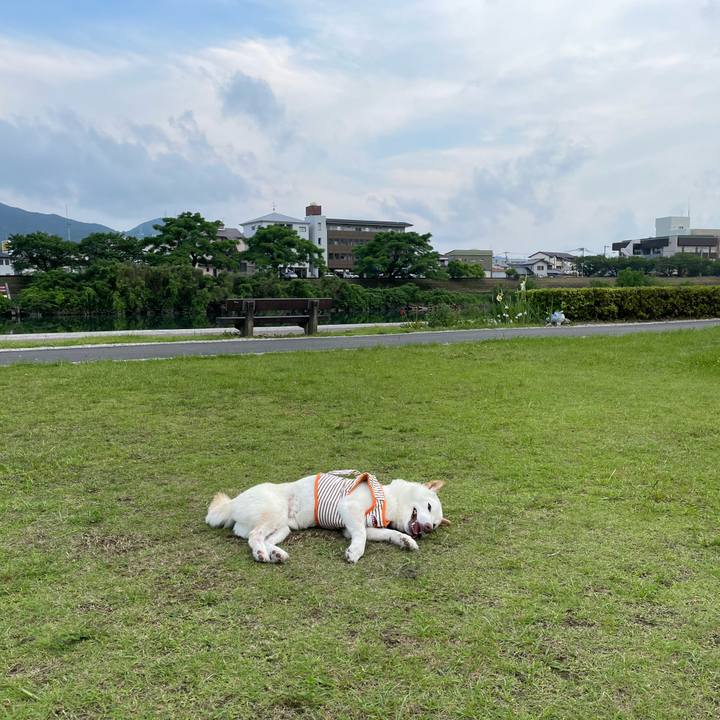 D4c8f684 e349 4f80 ad71 2351ac267be4 1655369079518