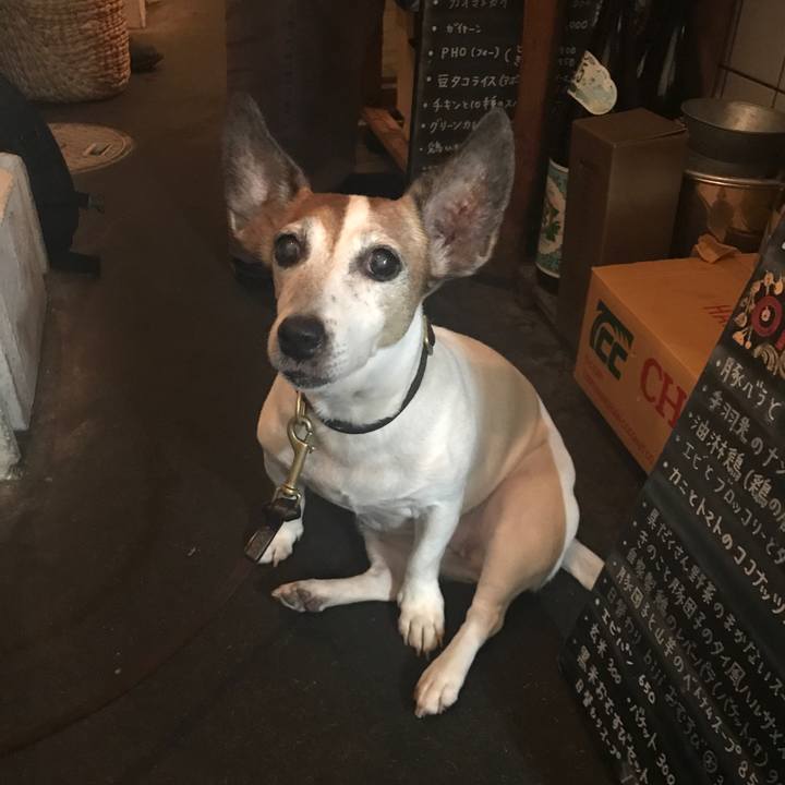 D4c8f996 5aa0 4294 a30f bb357981b8da 1507555333090