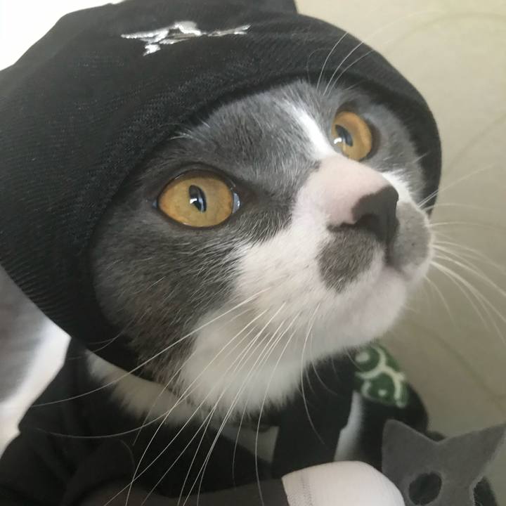 D4c9053d 2168 484b ad9a 98c0ca643ff8 1654770962655