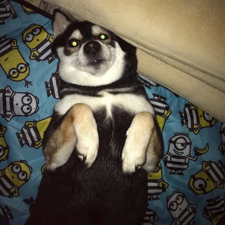 D4c9123e 0aac 4eae b2f4 63e2e8349939 1539180967266