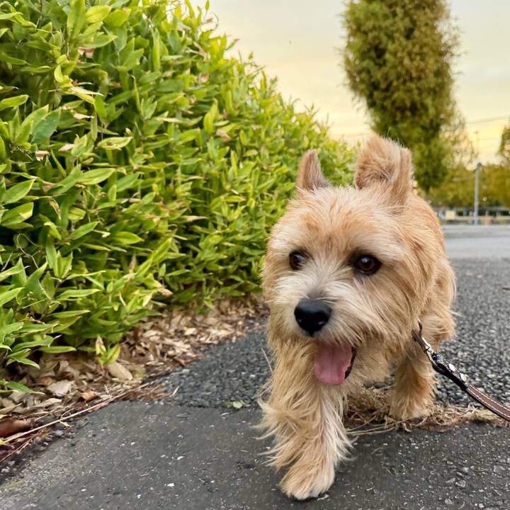 D4c92c50 bd55 437d 933a 92fefd24baae 1762459584508