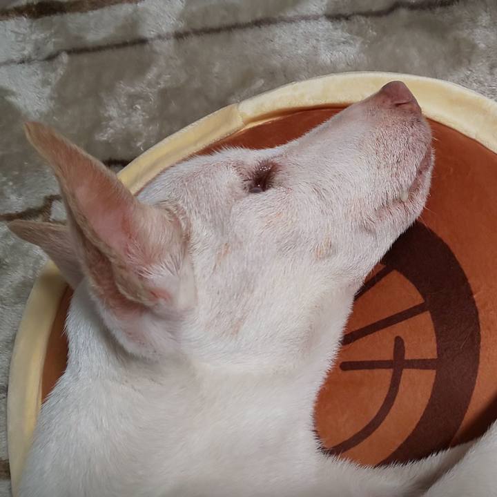 D4c95a31 a8c4 4e81 95f3 43c893fa0b5d 1595074905868