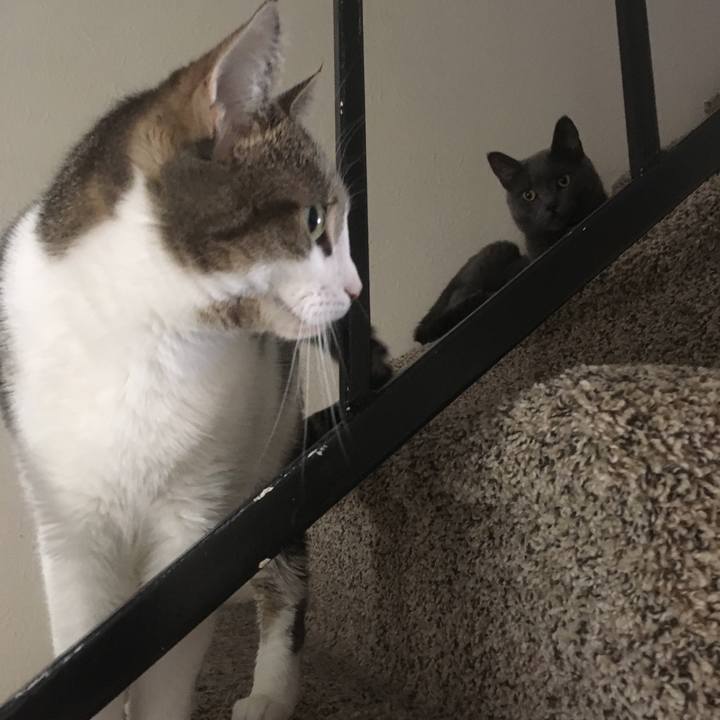 D4c972d2 eaf6 49b6 b8ba 6a0374bc9240 1636425113917