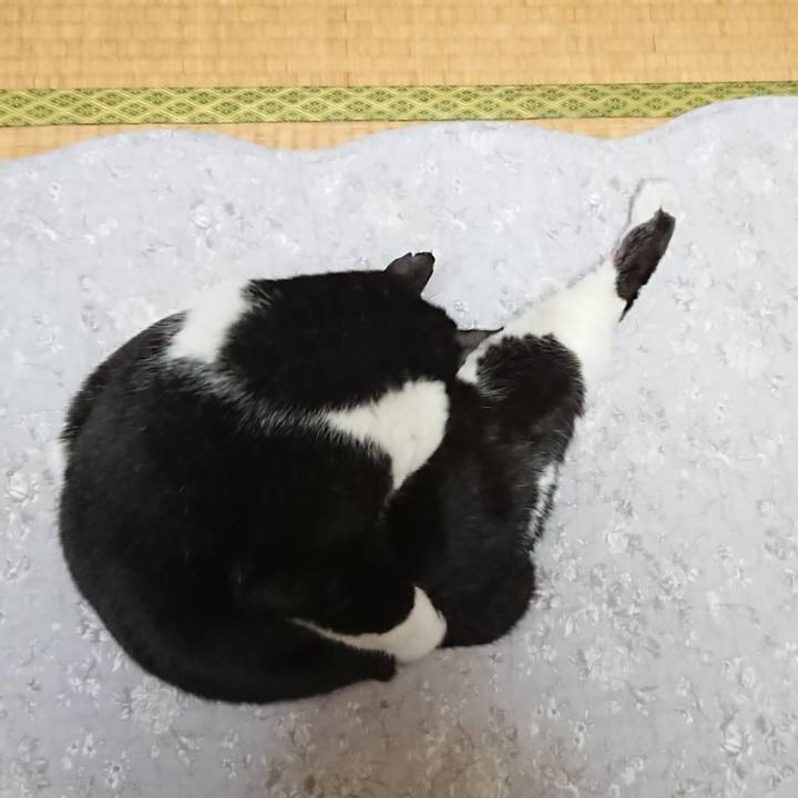 D4c987be 76b2 47b6 9ac4 cdf1e81cb8c2 1642917919887