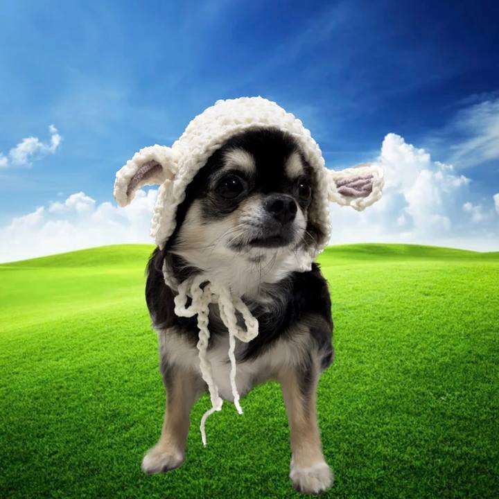 D4c989b6 de8f 4a30 8aec b0fccaf8f209 1666262605401