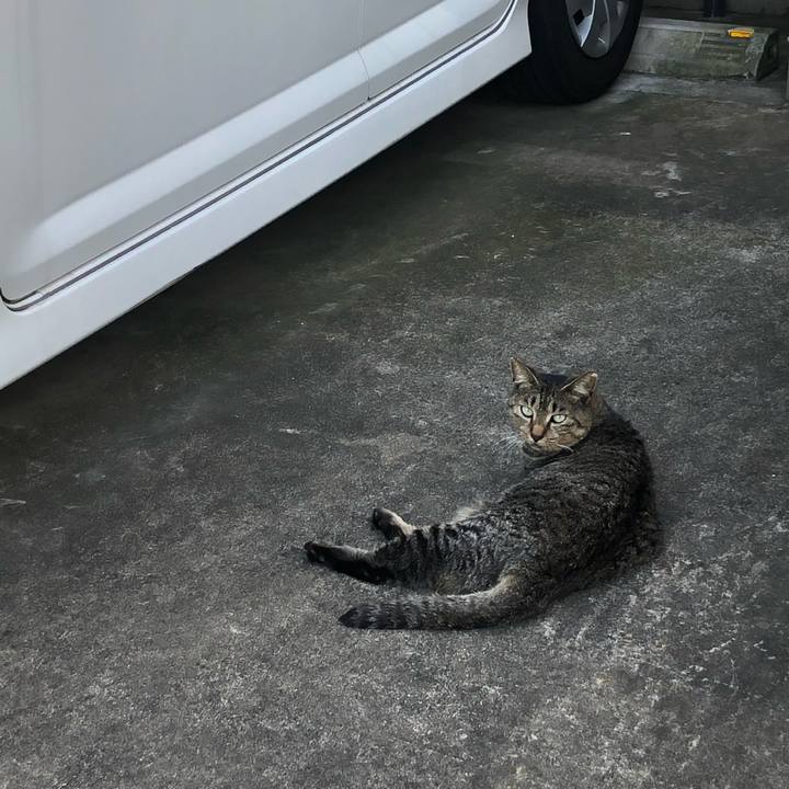 D4c99a6a 7f66 42eb a939 4f9a11e7ca69 1599978276872