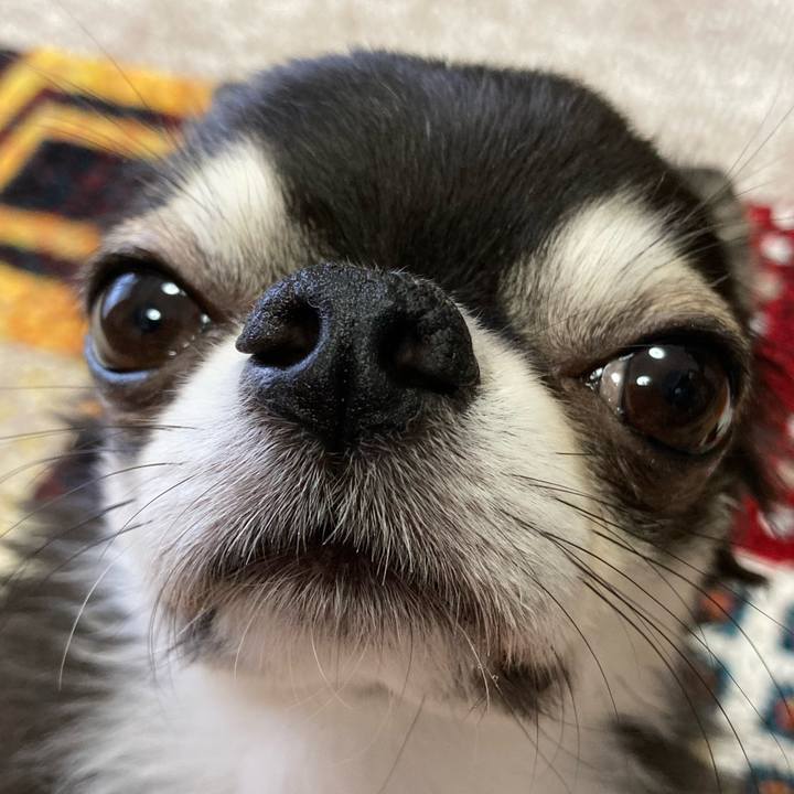 D4c9b2da cc29 4607 a00f ceb4d4393d18 1685831860395