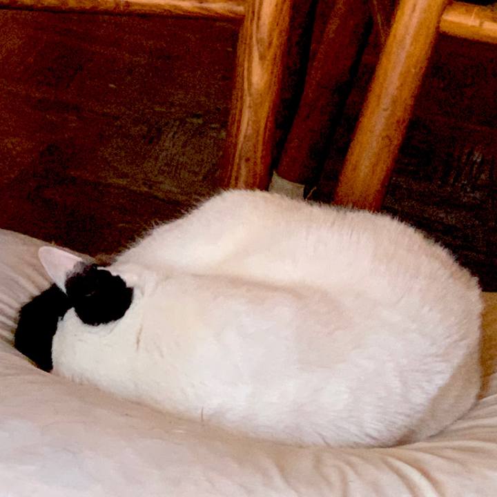 D4c9f225 1cb2 4de8 ae8b 2c596bc2f920 1594852677521