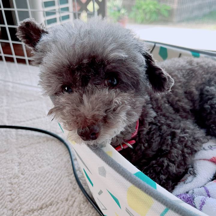 D4c9fbd8 fbc0 45f6 9c69 dbaead9c7ea6 1694300656790