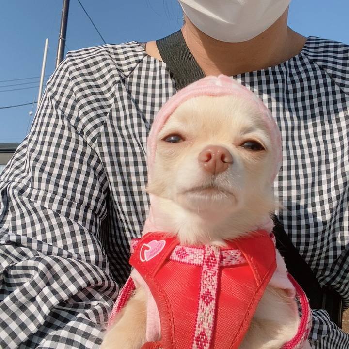 D4ca1cf7 9025 4761 b486 5585f48f4995 1619772779194