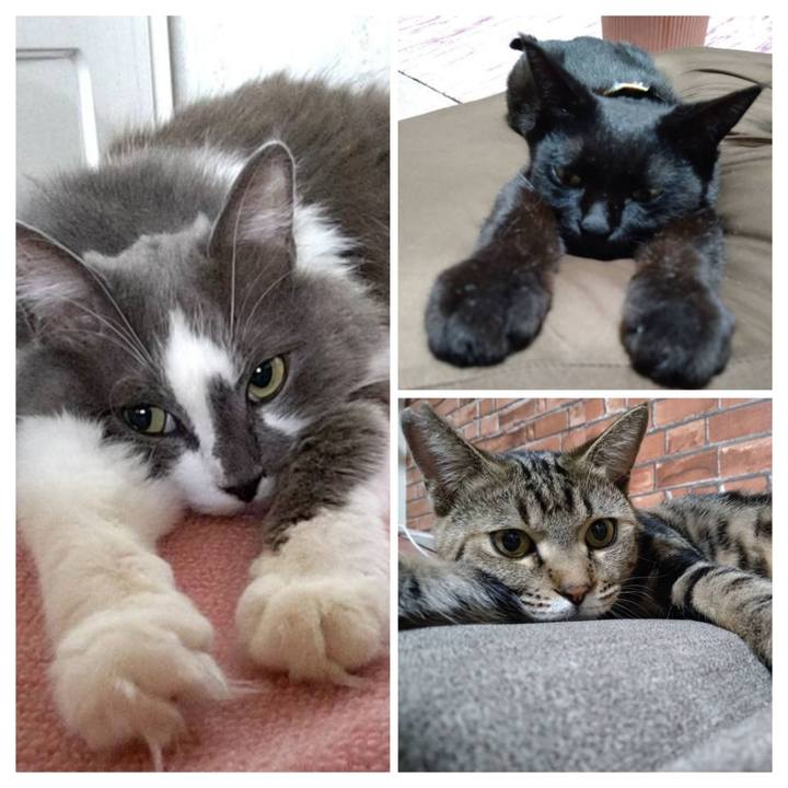 D4ca2df2 5048 4b08 849c ddc3c72881b5 1699178375187