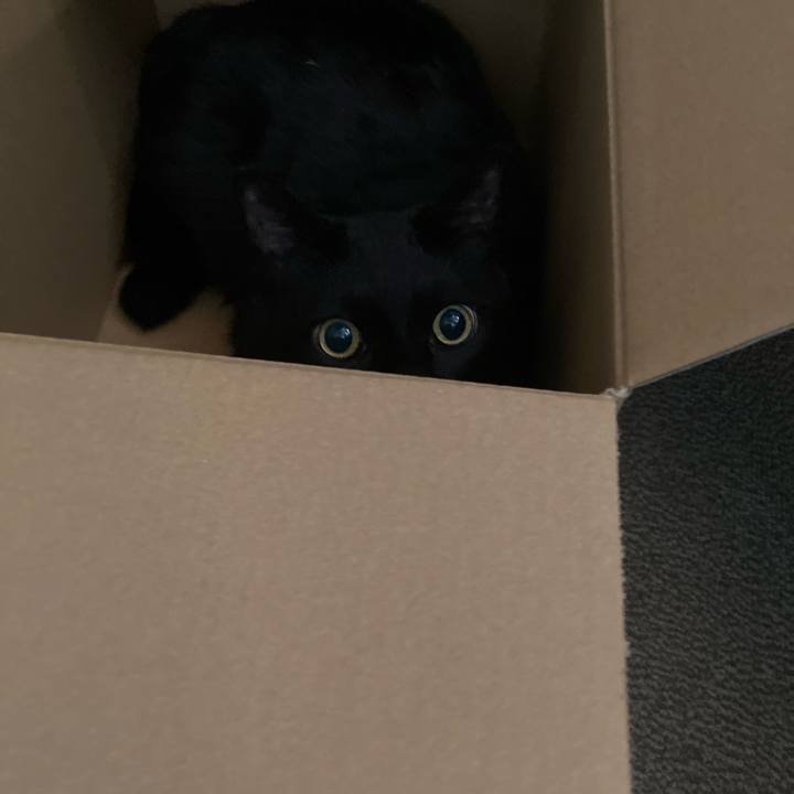 D4ca4a07 4b1b 451f b61f 39374ab02708 1602989900690