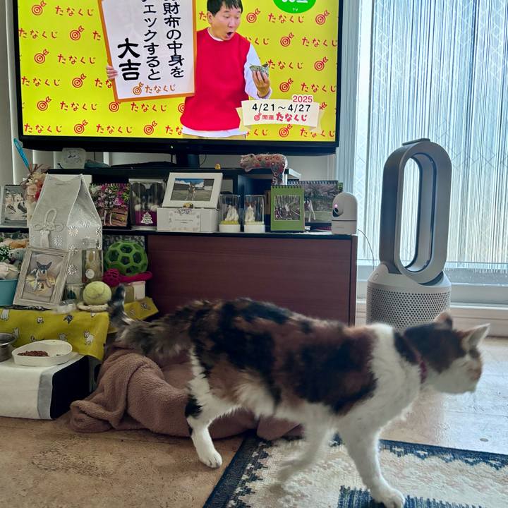 D4ca5023 6846 47ad 8e0c 04673f6398e9 1745186826093