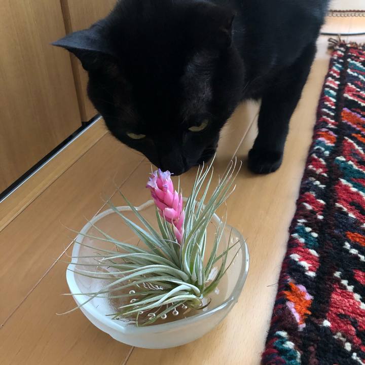 D4ca6ee1 2505 4d1d 905c 19fedb92c7ec 1575245318376