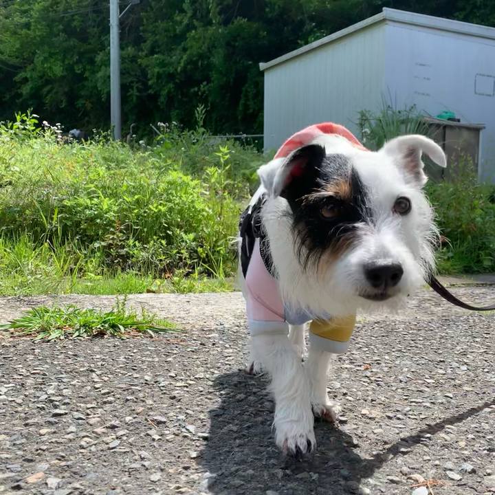 D4ca9c9e 0e68 4100 8d80 51880ca1f051 1651455438168