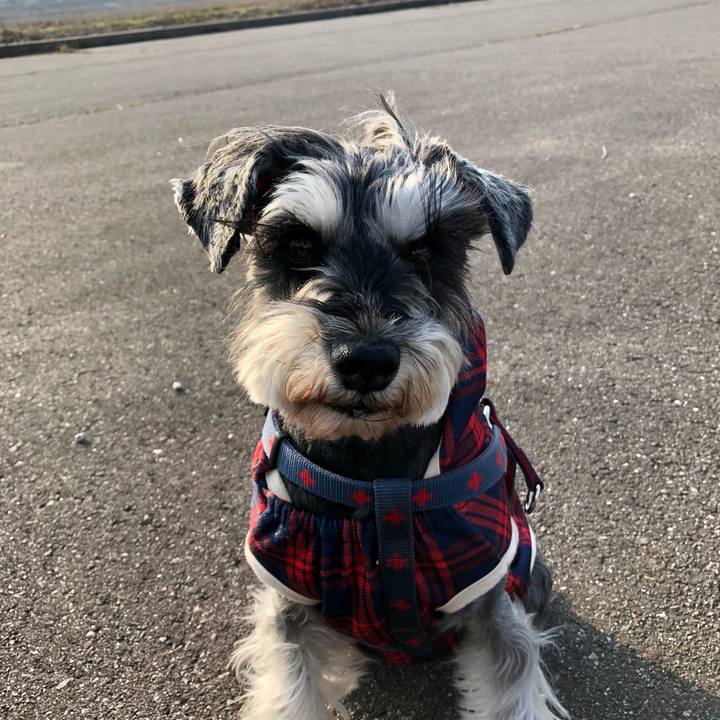 D4ca9d29 36ab 4730 9760 43415abd03a0 1647079767367