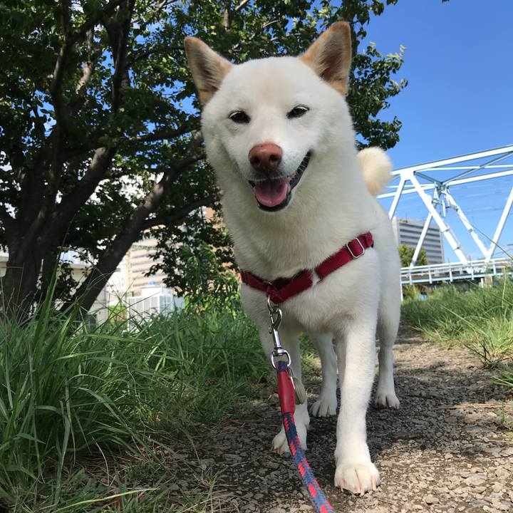 D4cac61d 5c78 4c29 93e9 6debe253f983 1534464667337